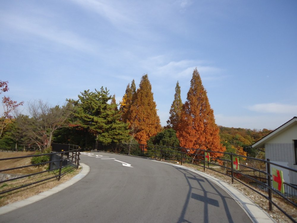 愛・地球博記念公園サイクリングコース