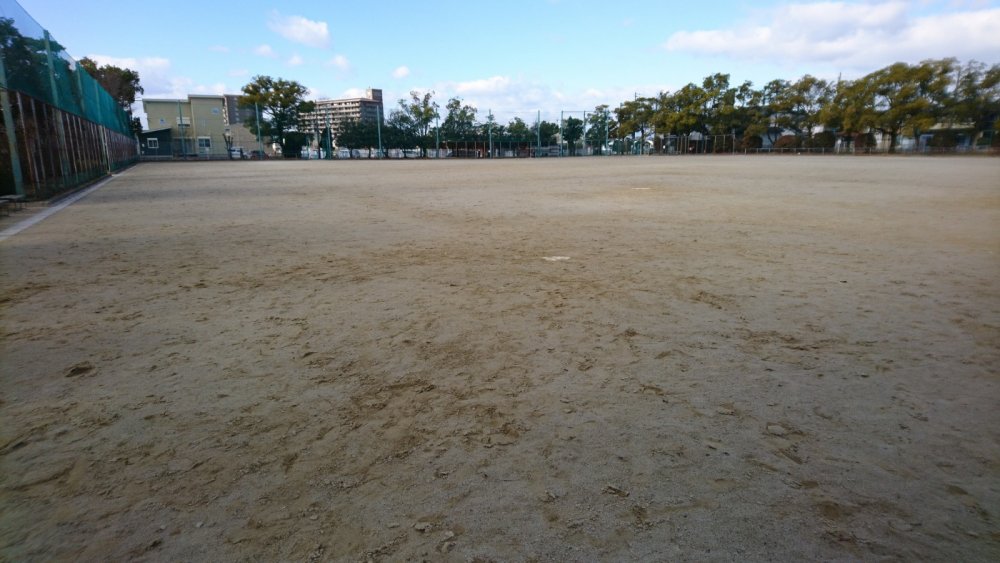 奥町公園ソフトボール場全景