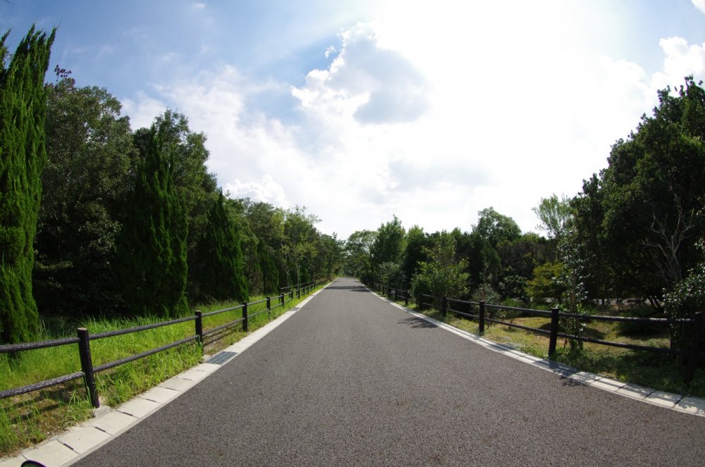 愛・地球博記念公園サイクリングコース