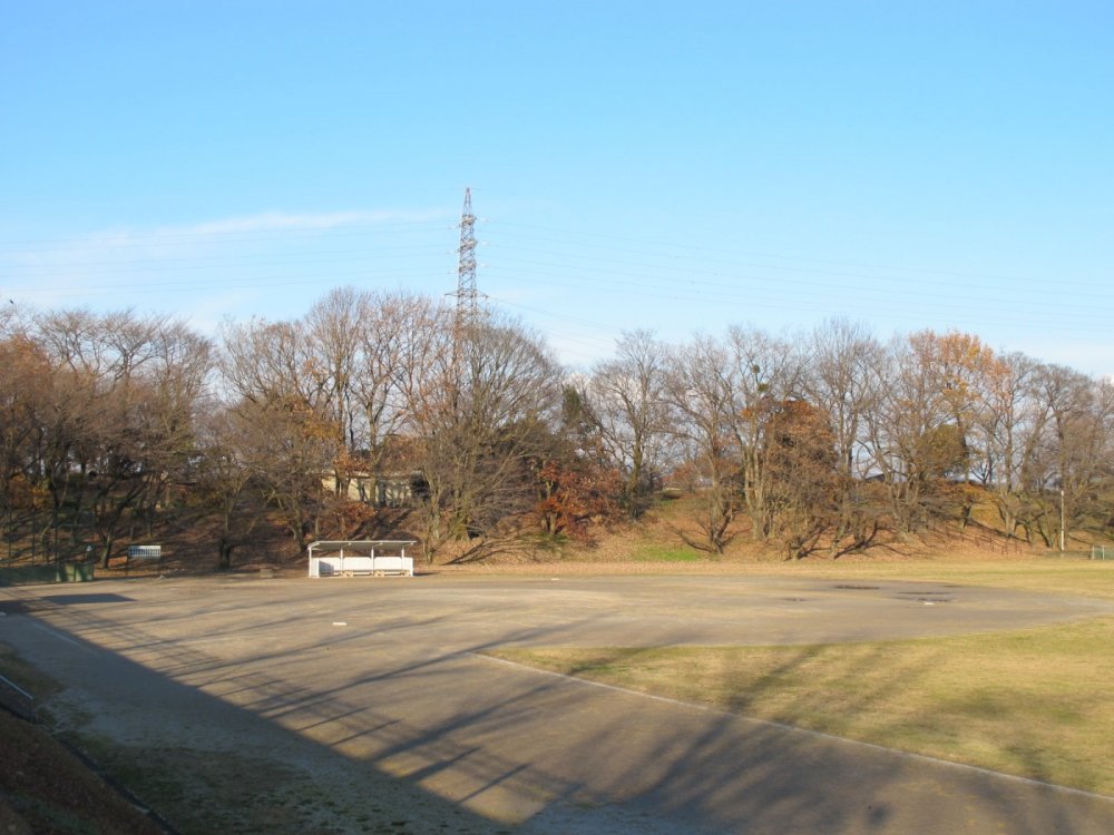 大野極楽寺公園野球場A面