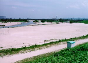 渡橋河川緑地運動場（左岸）