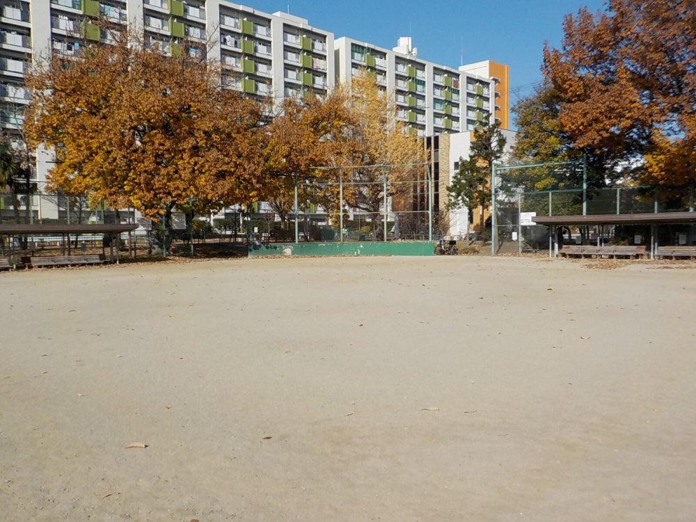 稲葉地公園野球場①