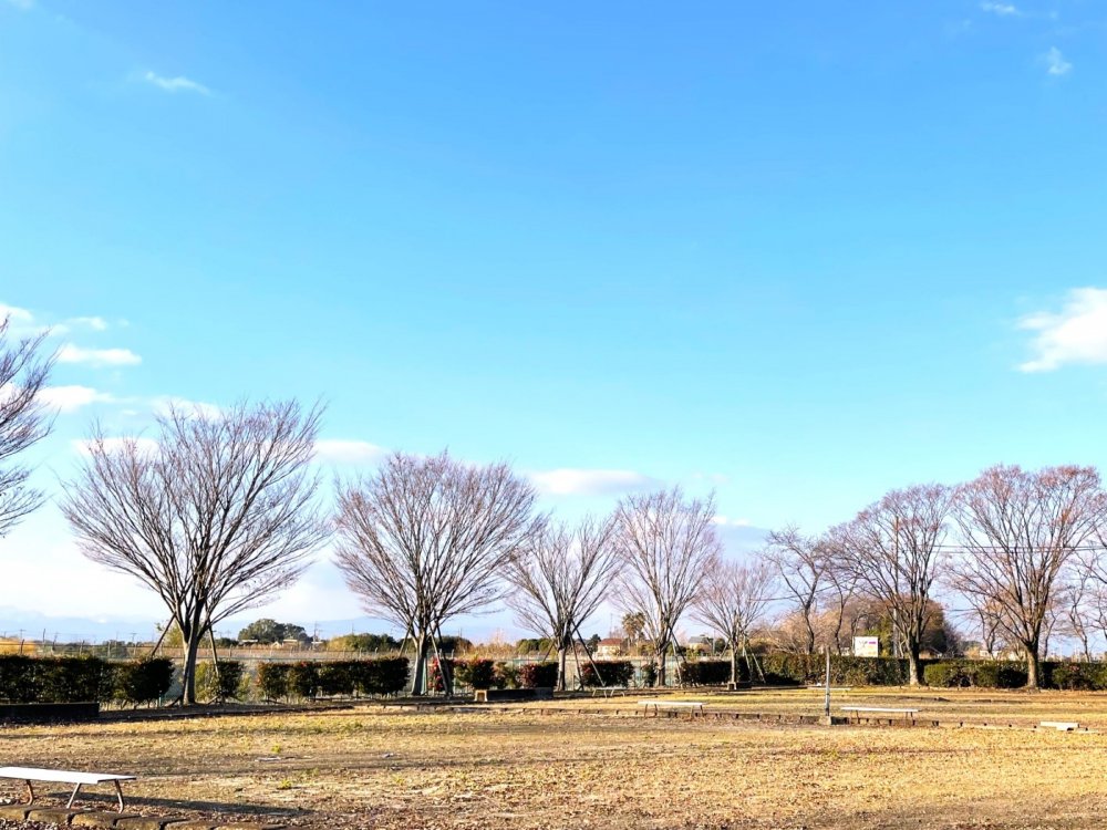 愛西市八開運動場　ゲートボール場